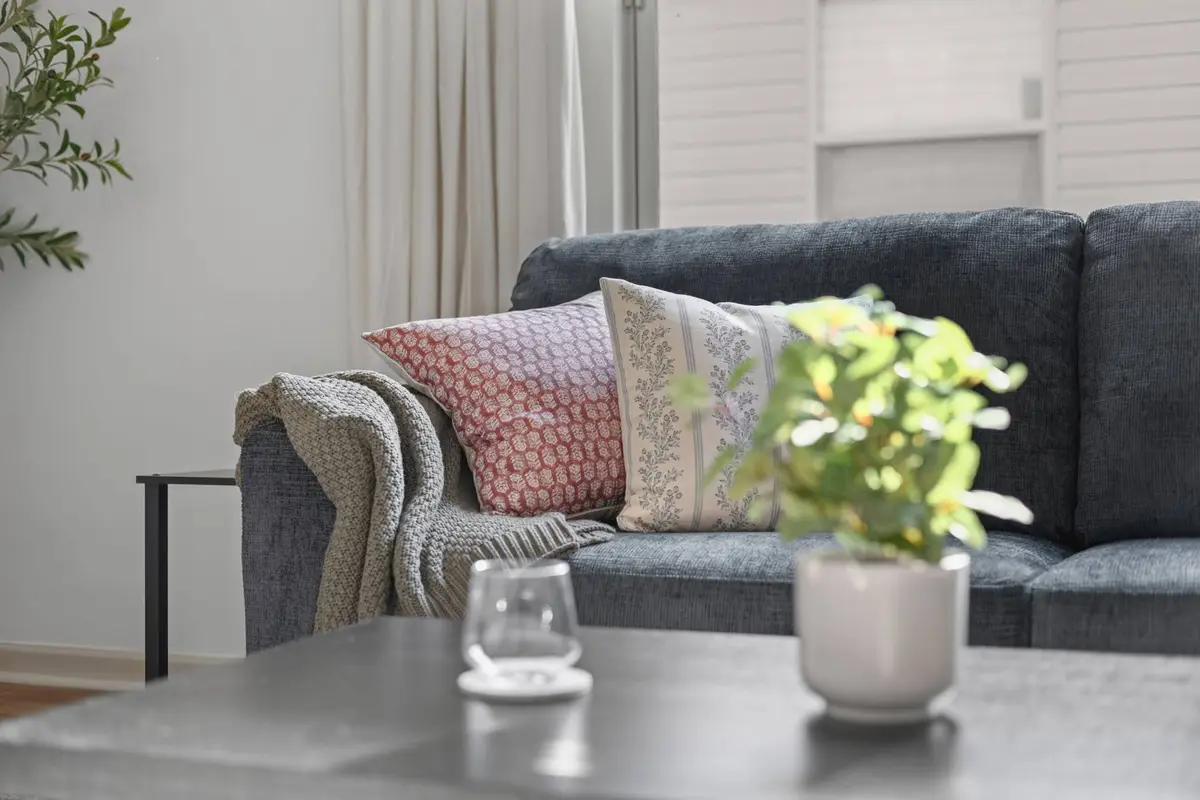 Sofa Details